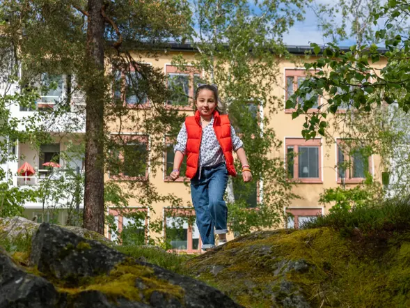 div-ikano_hagsatra_barn-skog.webp