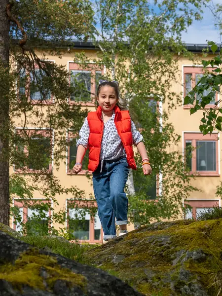 div-ikano_hagsatra_barn-skog.webp