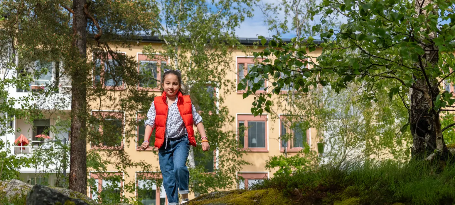div-ikano_hagsatra_barn-skog.webp