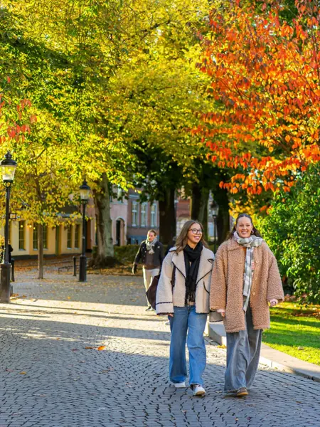 lund_torg.webp