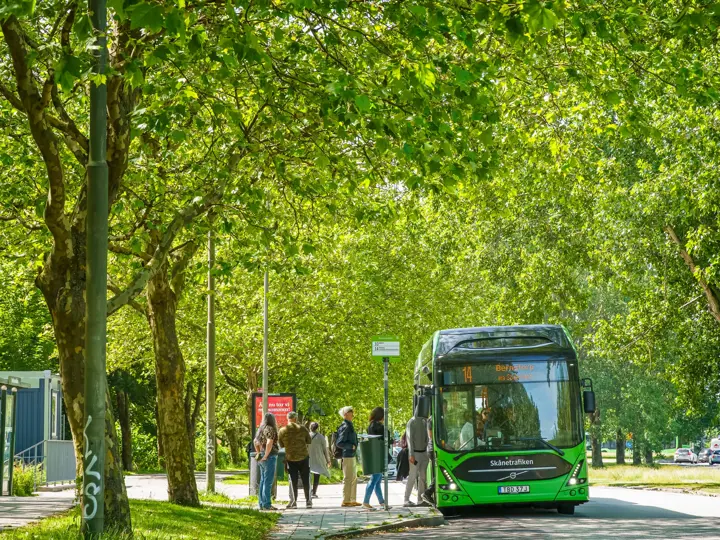 bellevuegarden_malmo-bellevue_3.webp