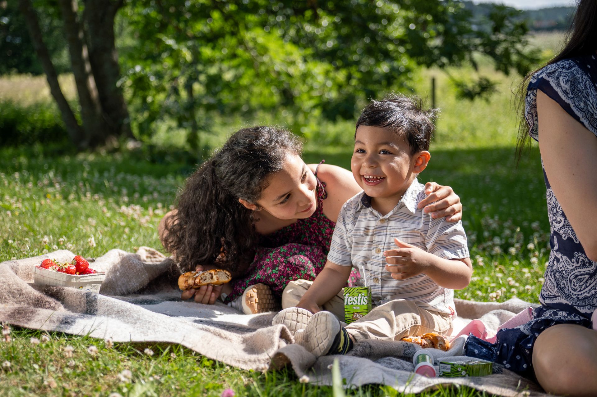En familj har picknick i en grön parkmiljö nära Sjöängen i Upplands Väsby.