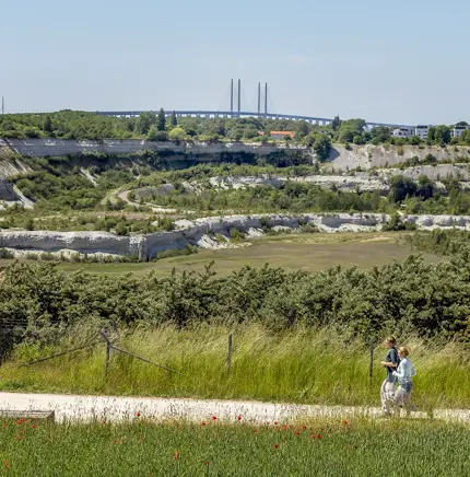 Personer joggar på grusväg vid kalkbrott med Öresundsbron i bakgrunden.
