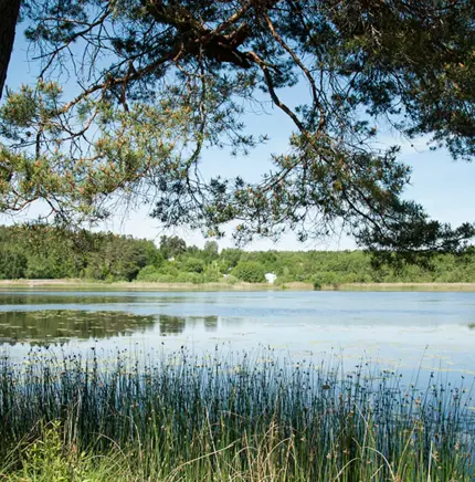 sollentuna_vassjon.webp