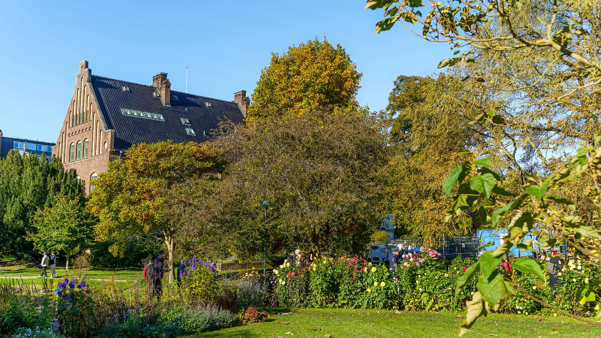 lund_park_natur.webp