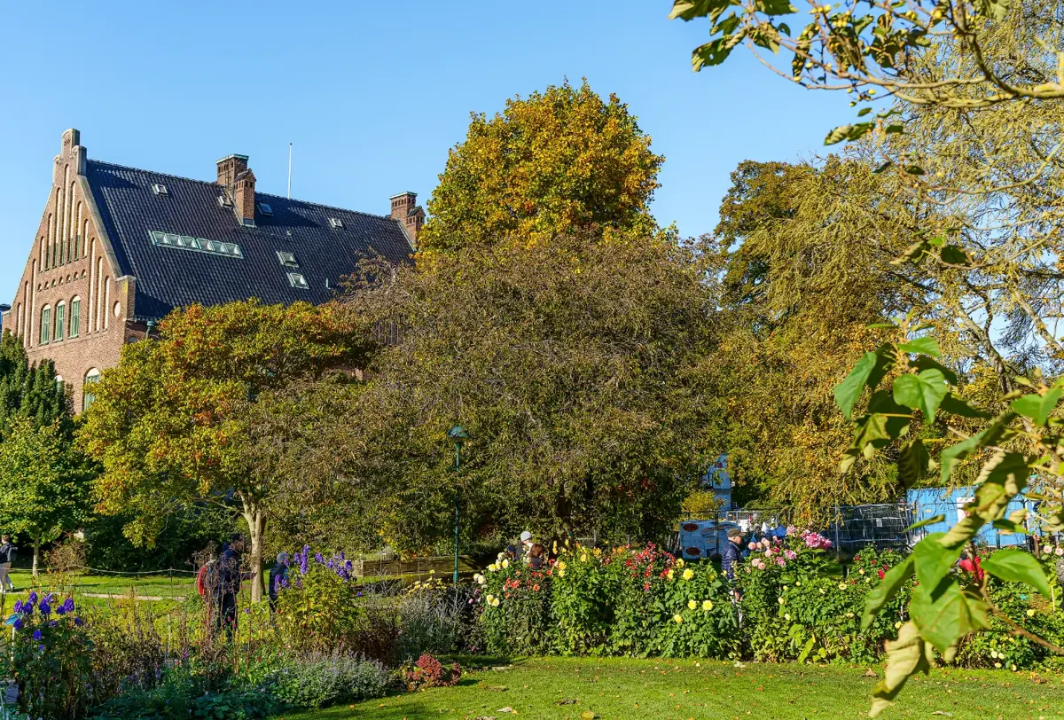 lund_park_natur.webp