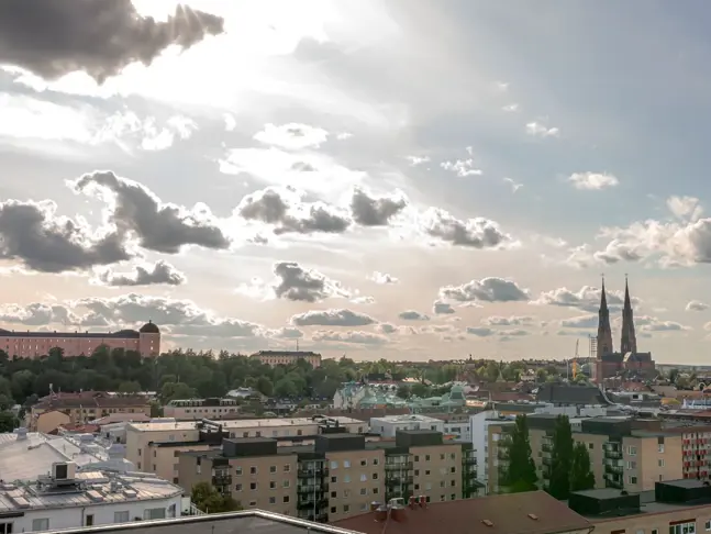 Stadsvy över Uppsala med domkyrkan, takåsar och kvällsljus.