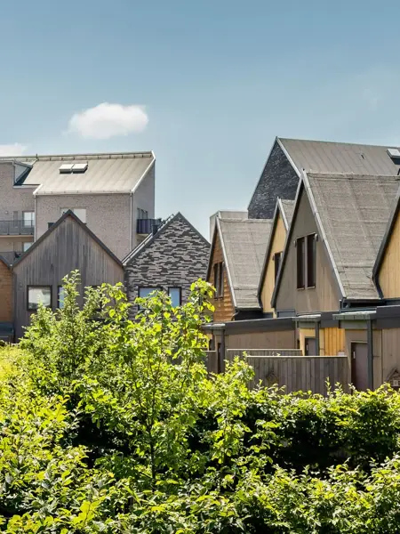 Radhus i trä med gröna häckar och gångstig mellan husen.