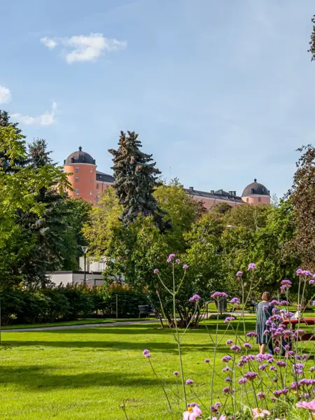 uppsala_slott_park.webp