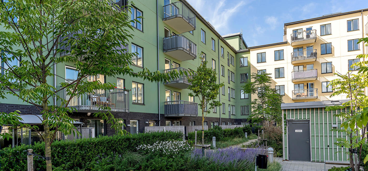 Gronskande innegard i en bostadsrattsforening.