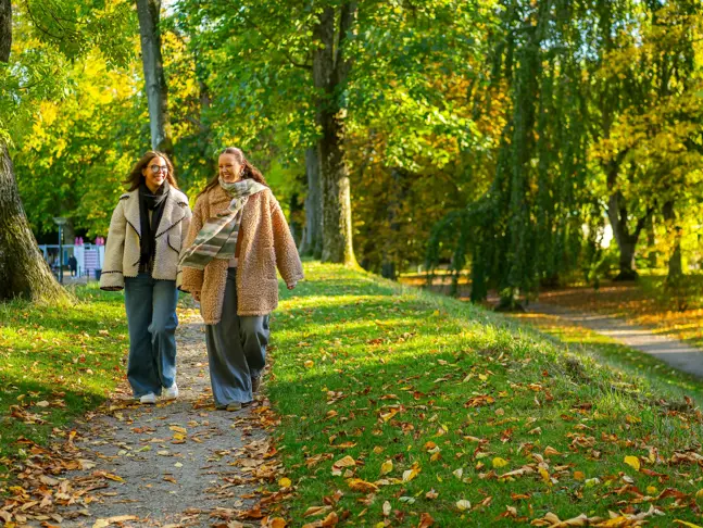 div-ikano_lund-vasterbro_promenad_2.webp