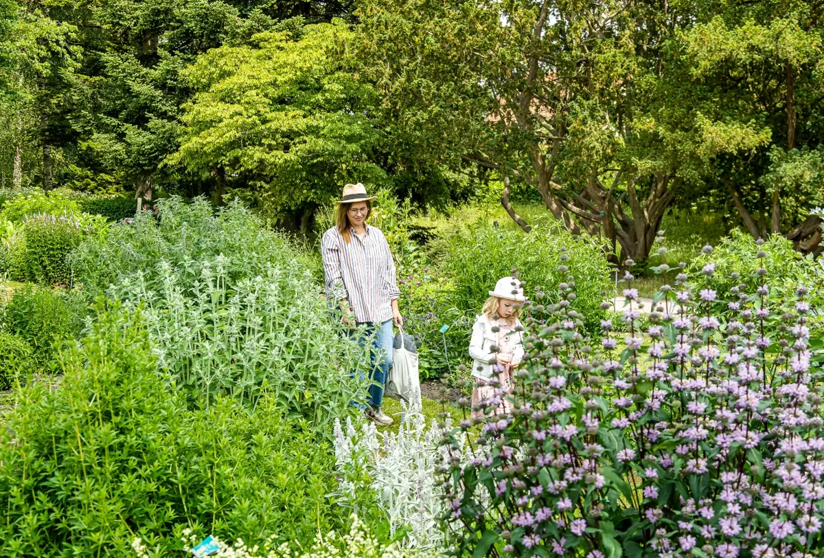 projekt_lund-martens-falad_botanikern_4.webp