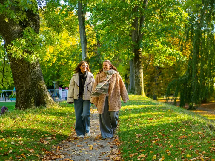 _A730594.webp