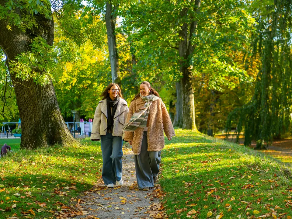 _A730594.webp