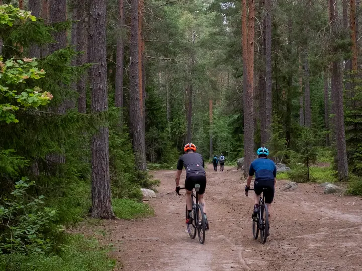 nacka_alta_nackareservatet_1.webp